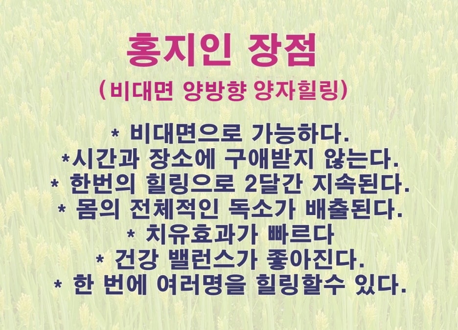 홍지인 이미지