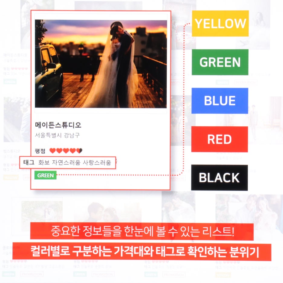 비타투어 이미지