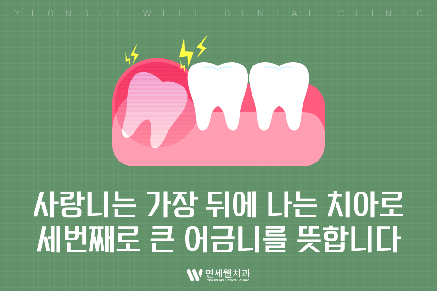 연세웰치과의원 이미지