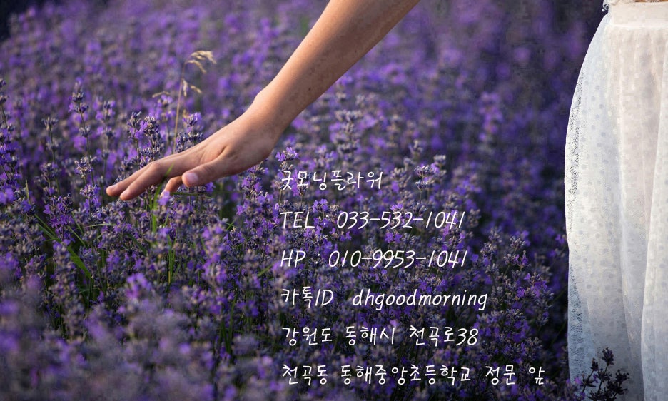 굿모닝한플라워 이미지