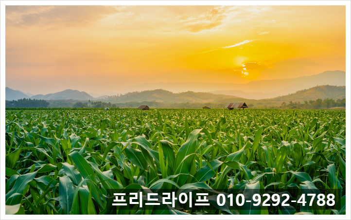 공공기관상조서비스 이미지