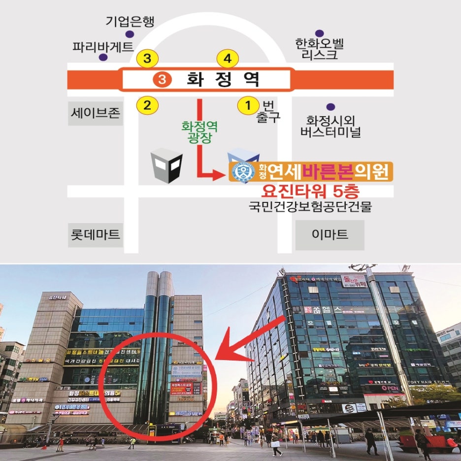 화정연세바른본의원 이미지