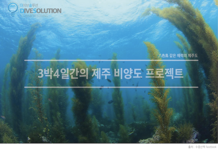 다이빙솔루션 이미지