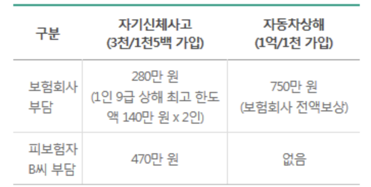자동차 보험 자손과 자상 차이, 2023년 기준 : 네이버 블로그