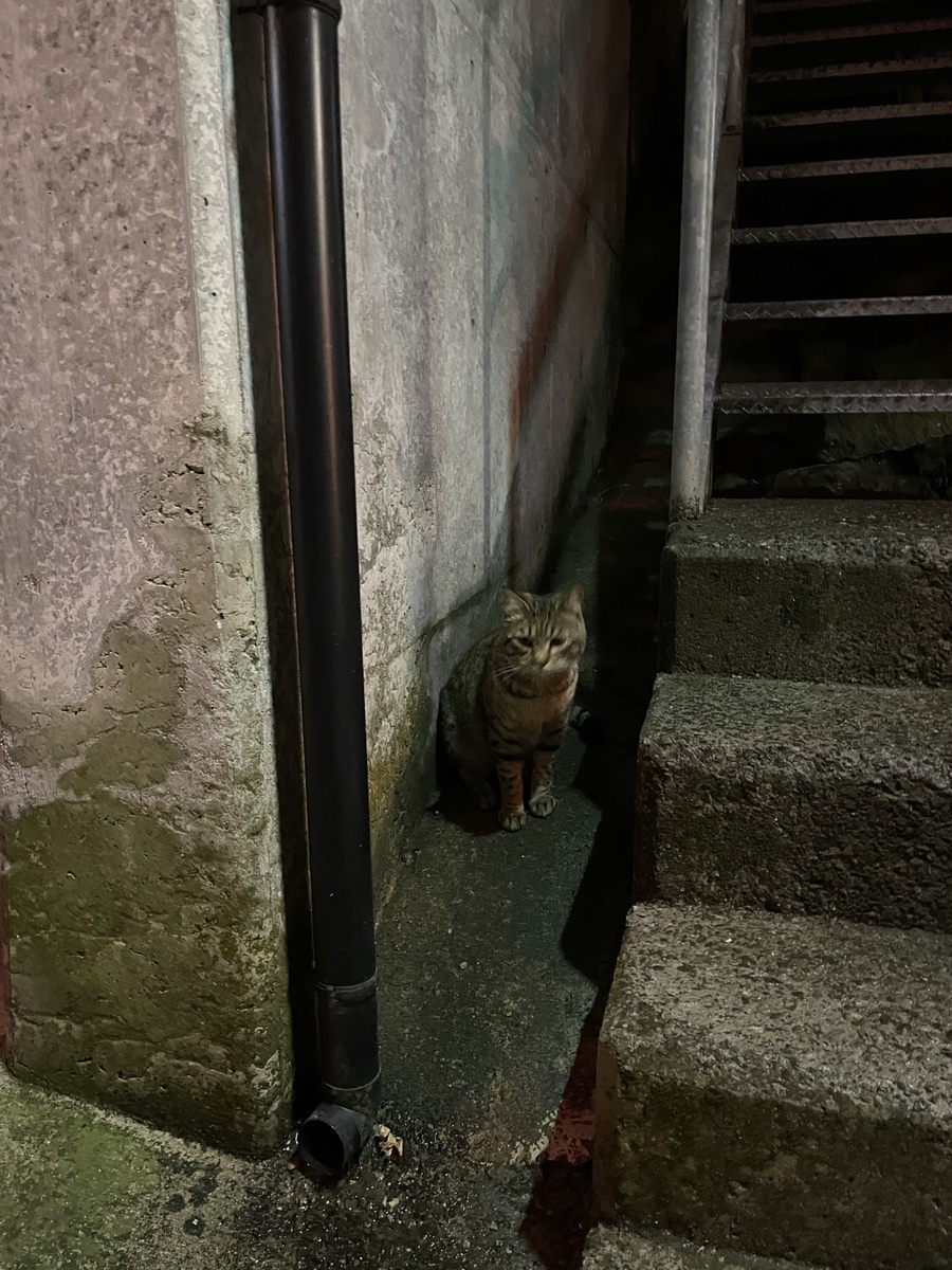 온천기물 이미지