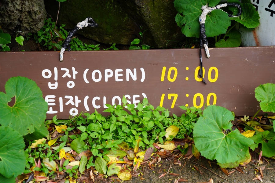 제주미소투어 이미지
