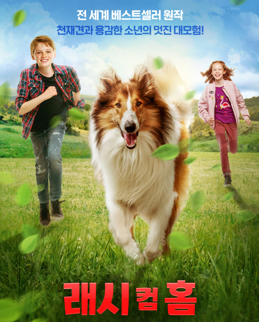 강아지 영화 래시 컴 홈 : 주인공 러프콜리 기본정보 : 네이버 블로그, image size:884x1100