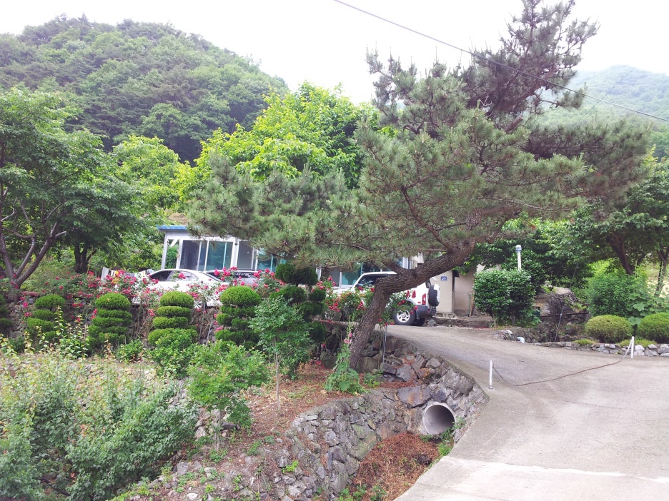 원동펜션 이미지