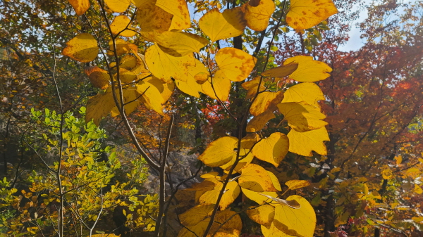 20221023_121256.jpg