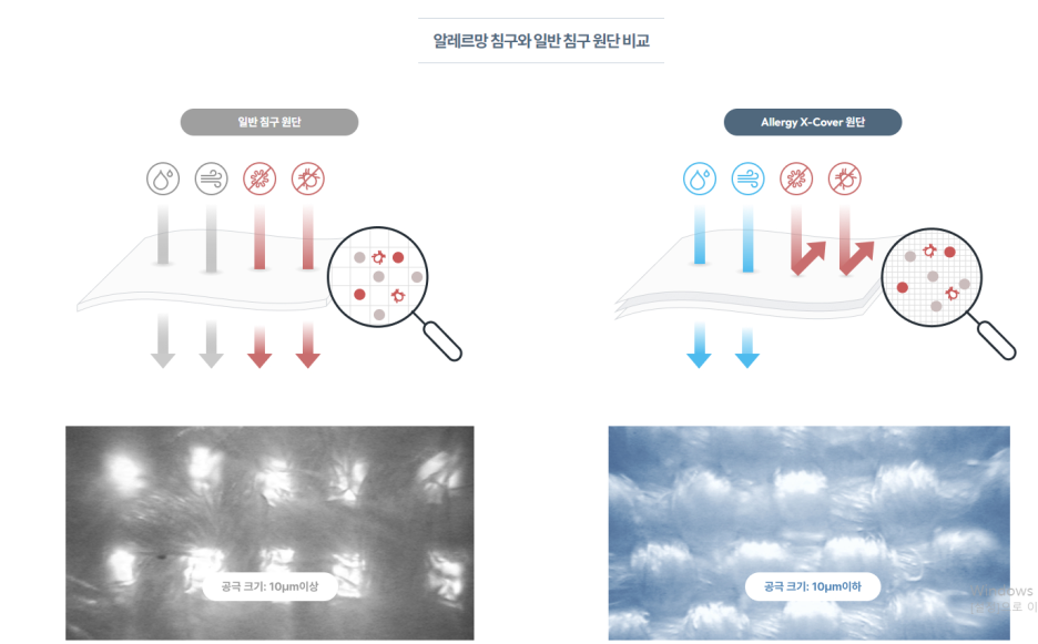 해피바오 이미지