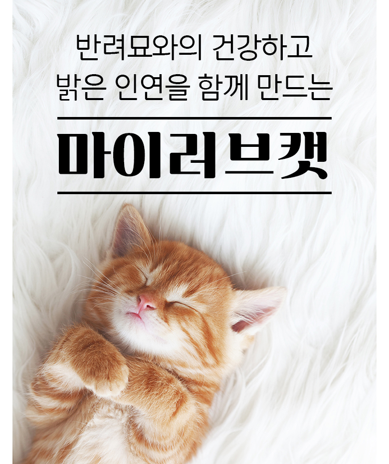 수지헤어나라 이미지
