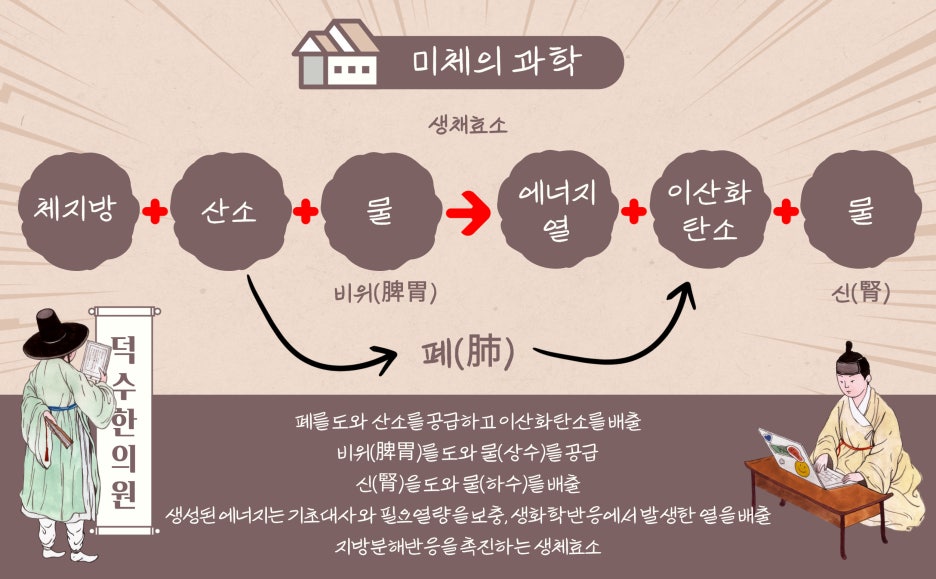 건강미체 이미지