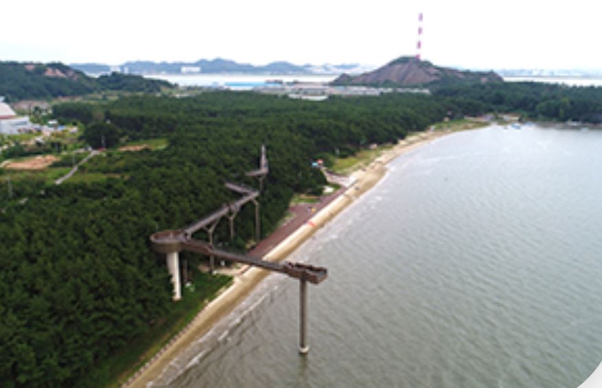 송림나무시장 이미지