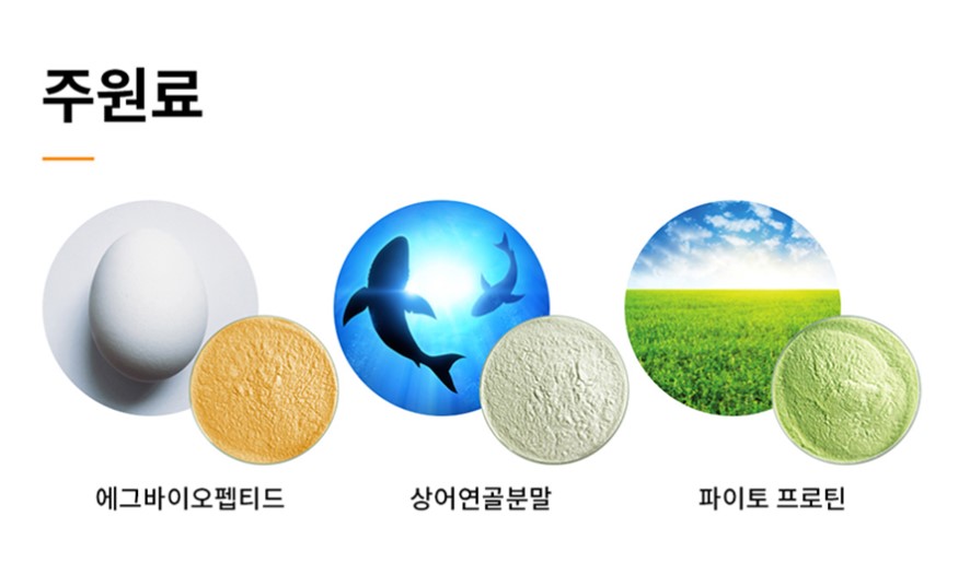 오피티 이미지