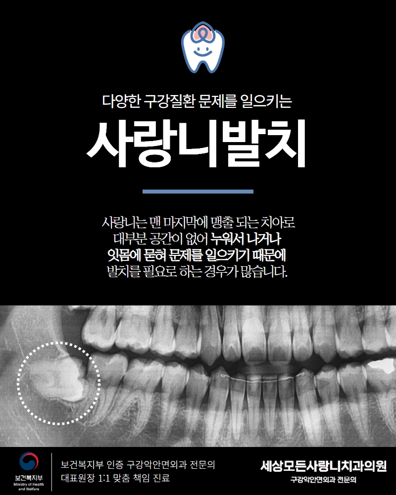 세상에하나뿐인치과의원 이미지