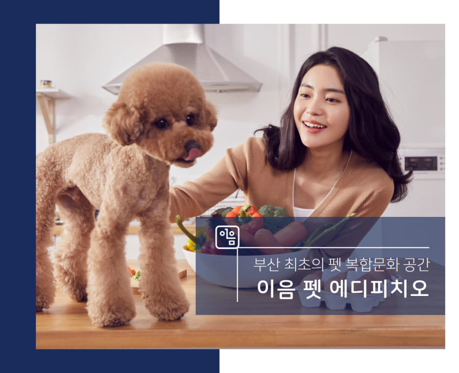 이레용역 이미지