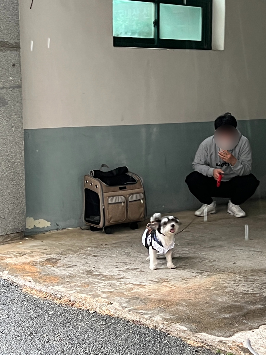 진도횟집해녀소녀식당 이미지