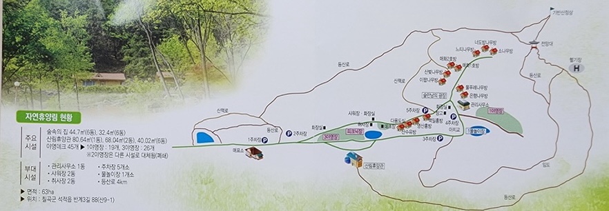 느티나무집 이미지