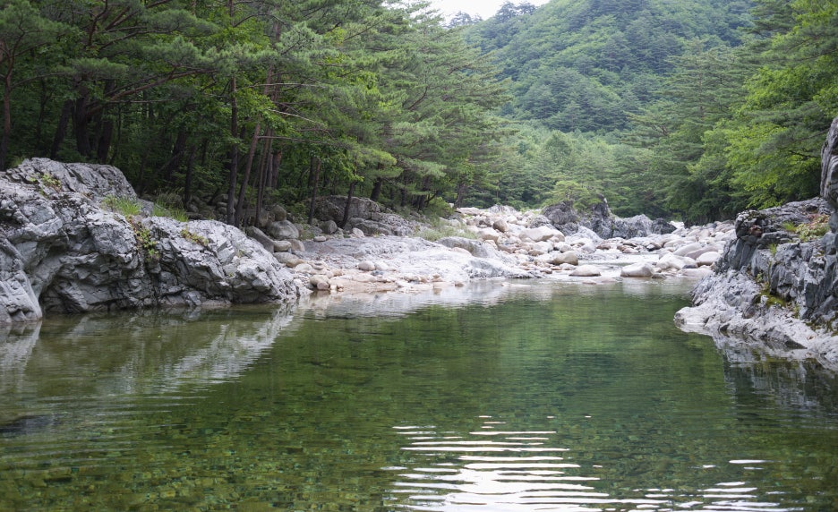 푸른여행사 이미지