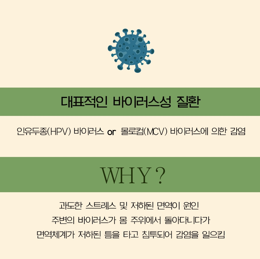 펄스디 이미지