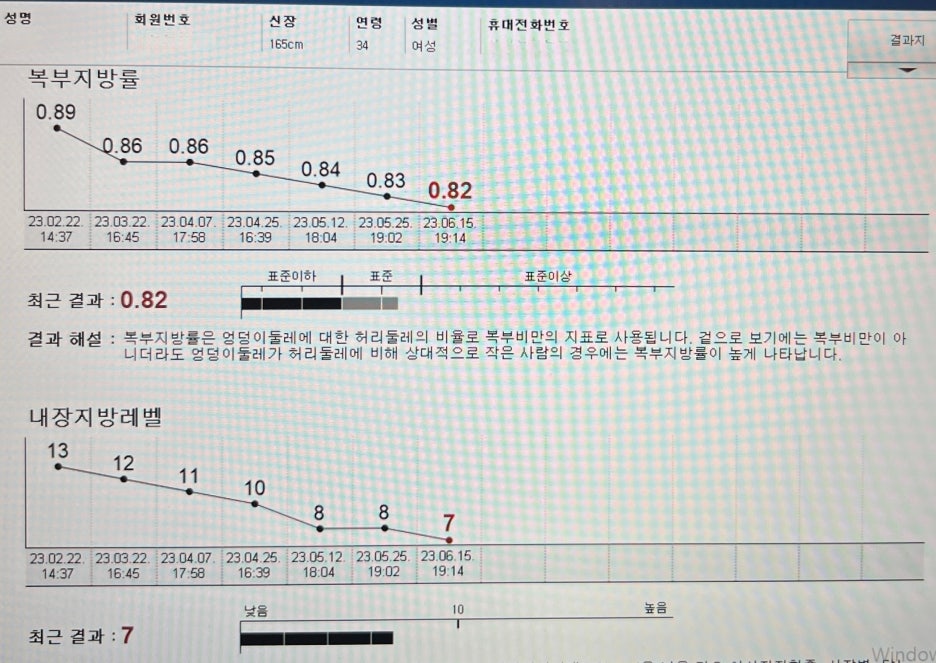로하핏스튜디오 이미지