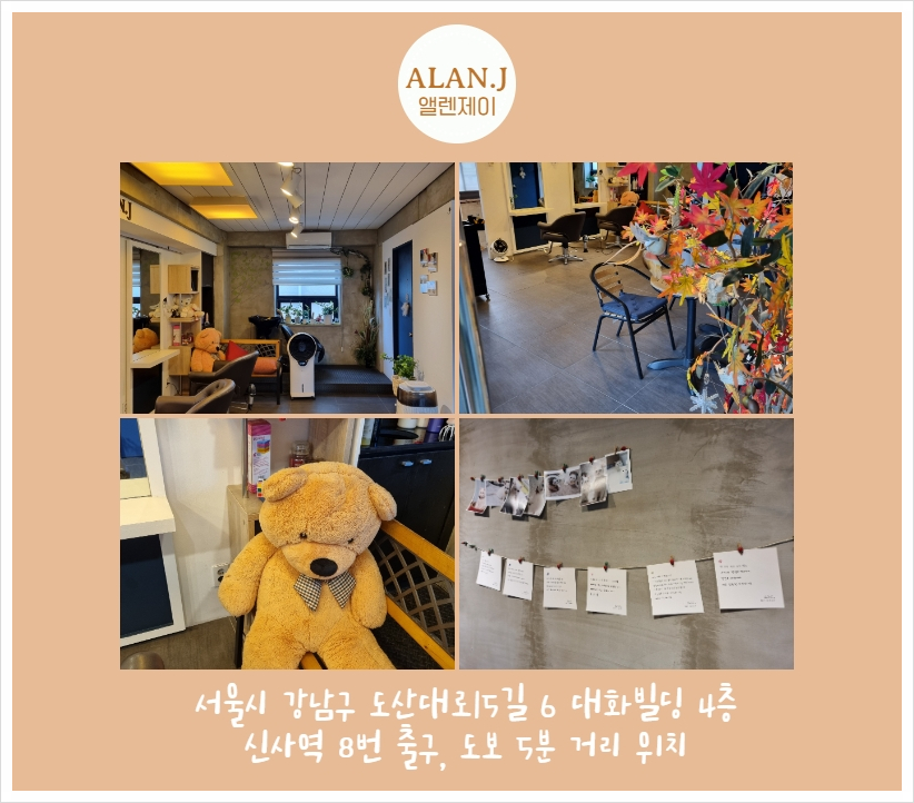 앨렌제이 이미지