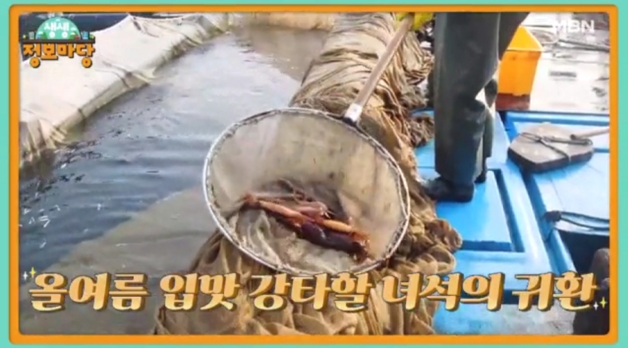 성포횟집 이미지