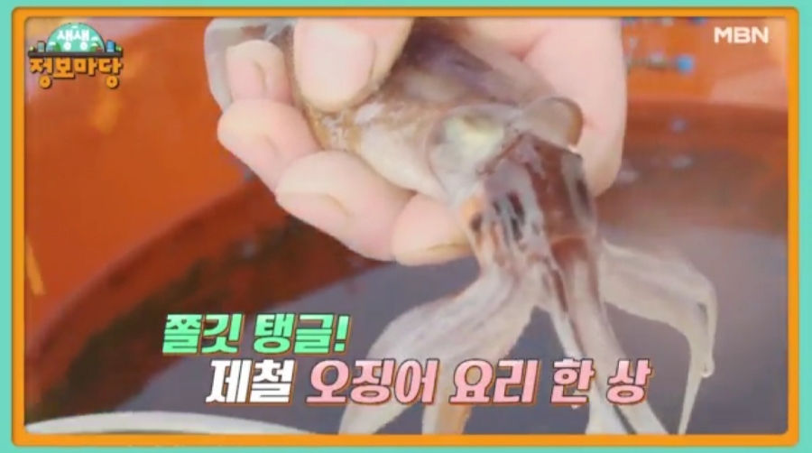 성포횟집 이미지