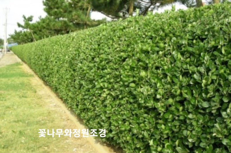전곡울타리 이미지