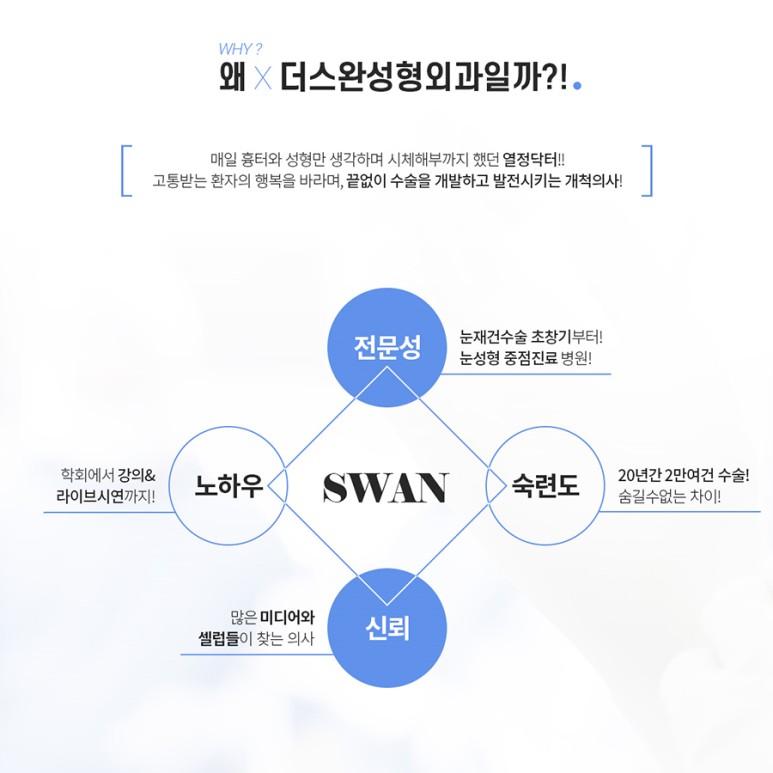 더스완 이미지
