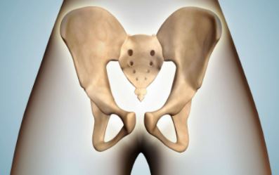 로얄헬스 이미지