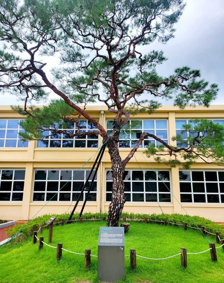 만석꾼들 이미지