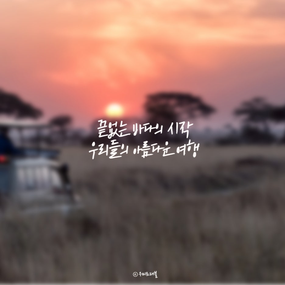우미트래블 이미지