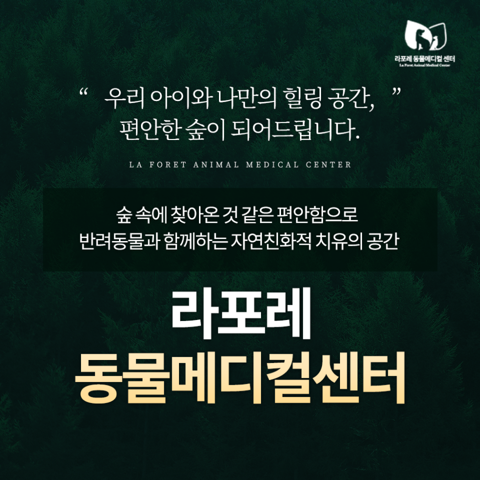 의왕속내과 이미지