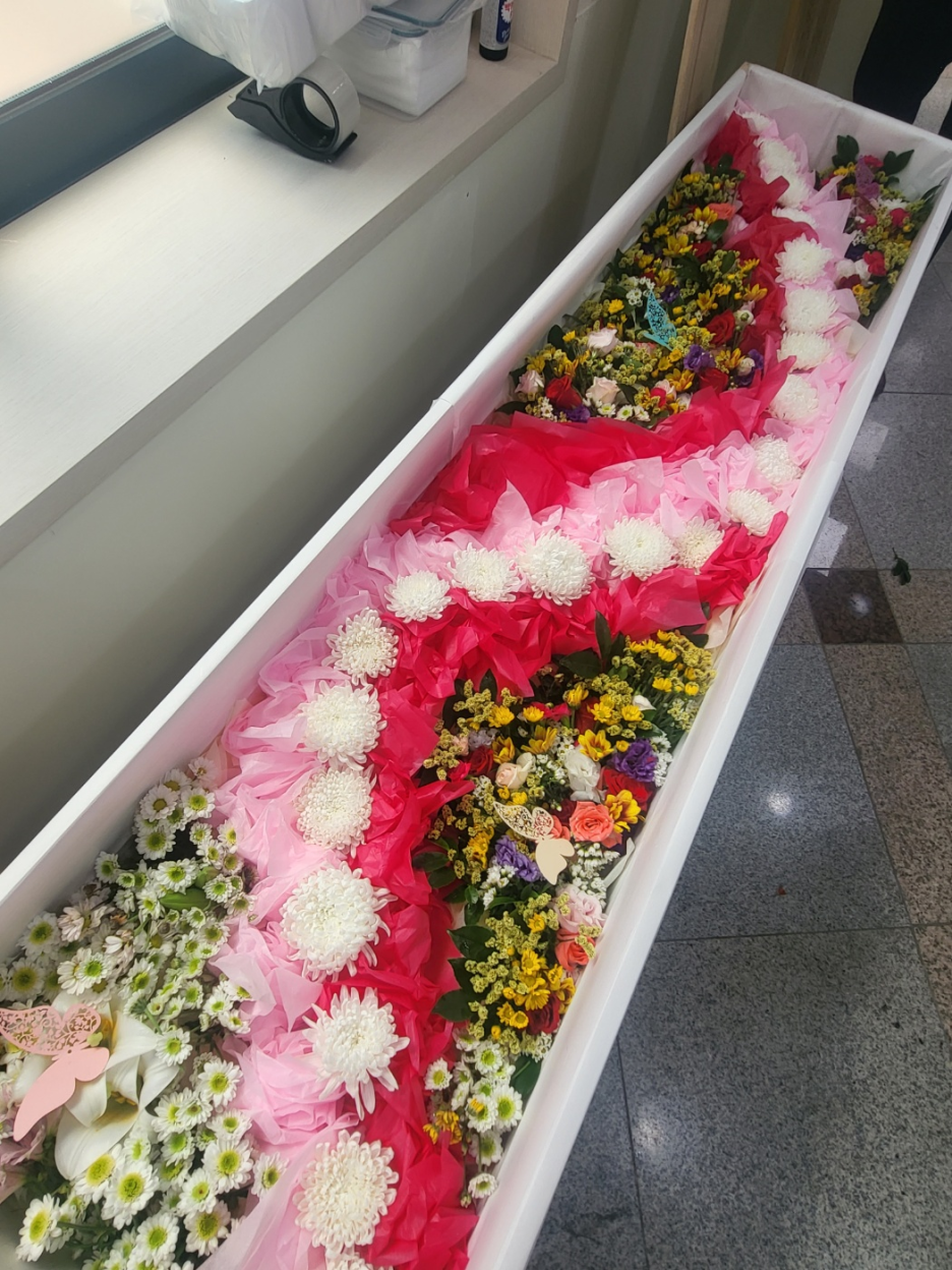 동래봉생병원 이미지
