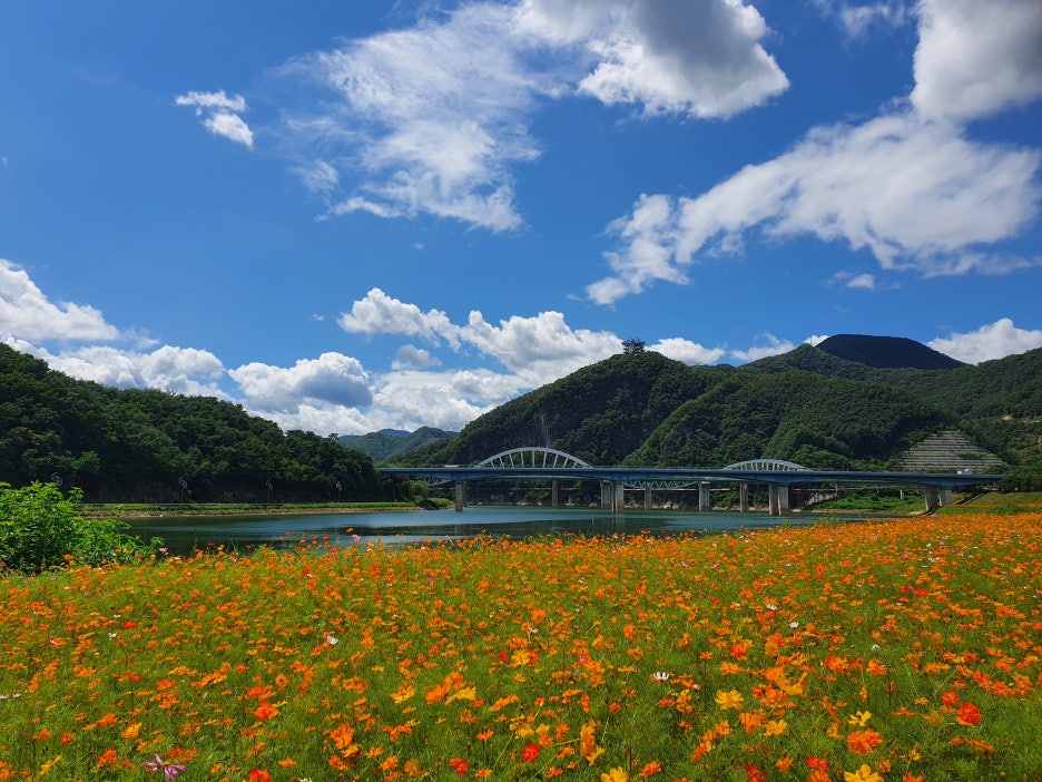 (주)서해그린 이미지