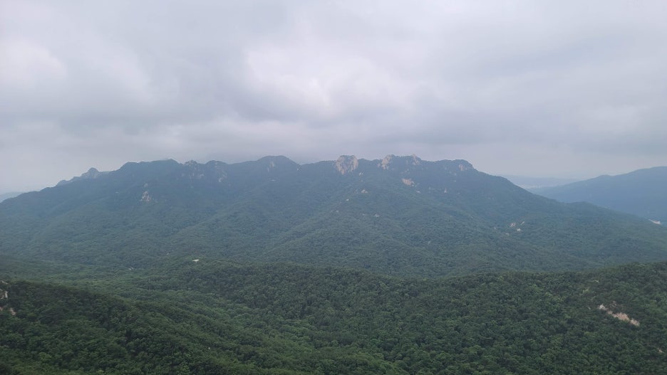 20230702_113815.jpg