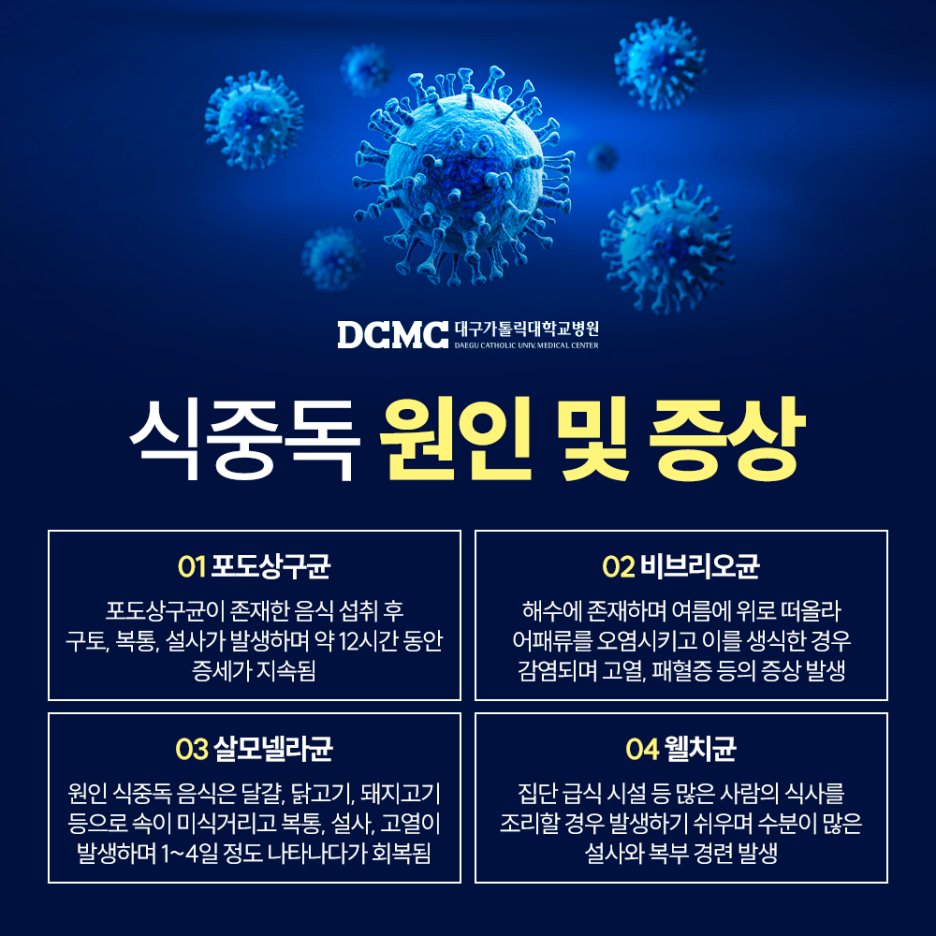 예가복어 이미지