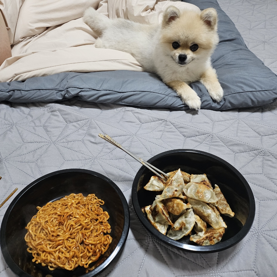 타코비 이미지