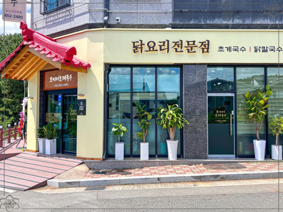 안동타이 이미지