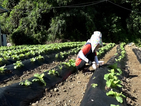 지리산산골식당 이미지