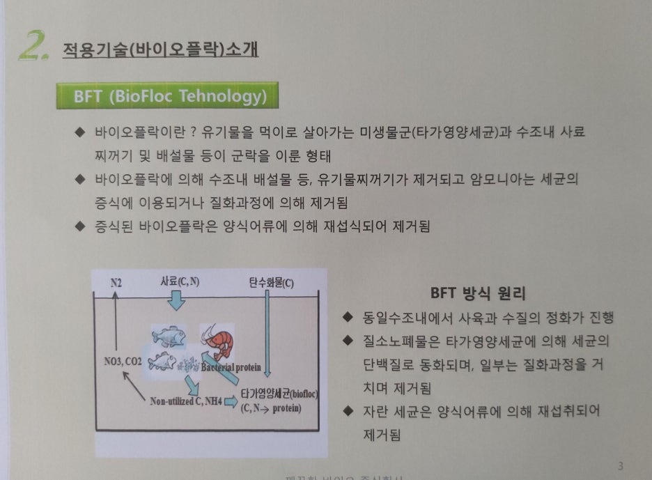 장어와미꾸라지 이미지