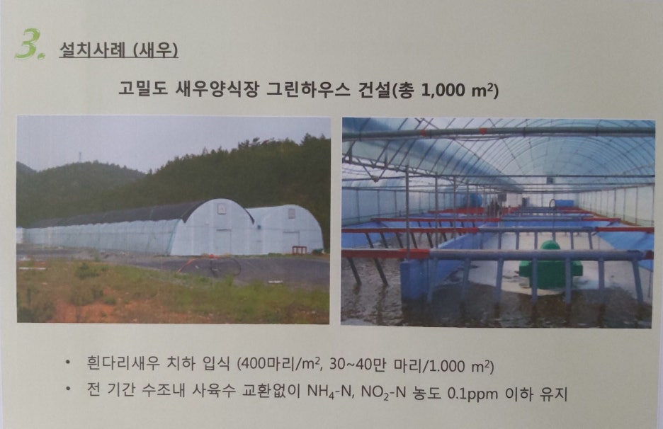 장어와미꾸라지 이미지