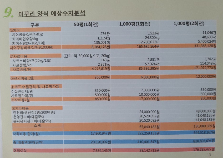 장어와미꾸라지 이미지