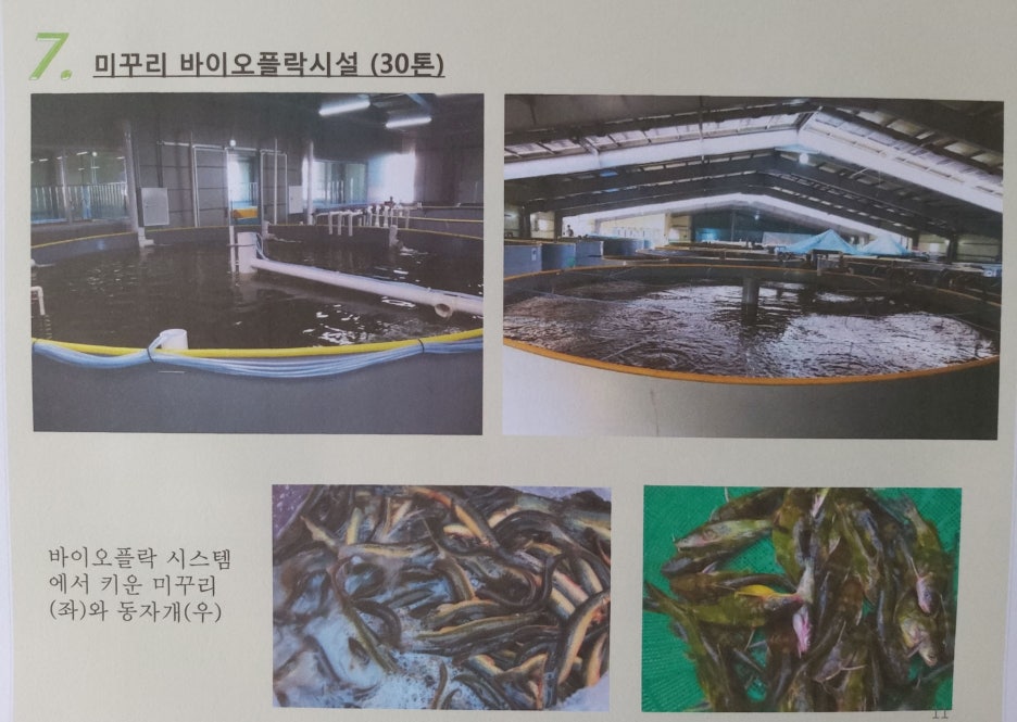 장어와미꾸라지 이미지