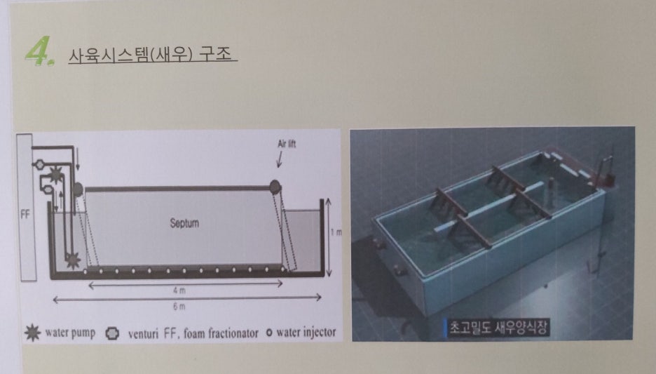 장어와미꾸라지 이미지