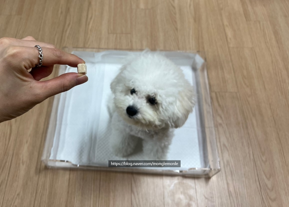 스마일인테리어 이미지