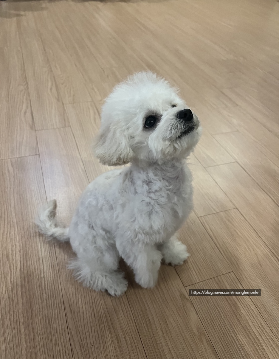 스마일인테리어 이미지