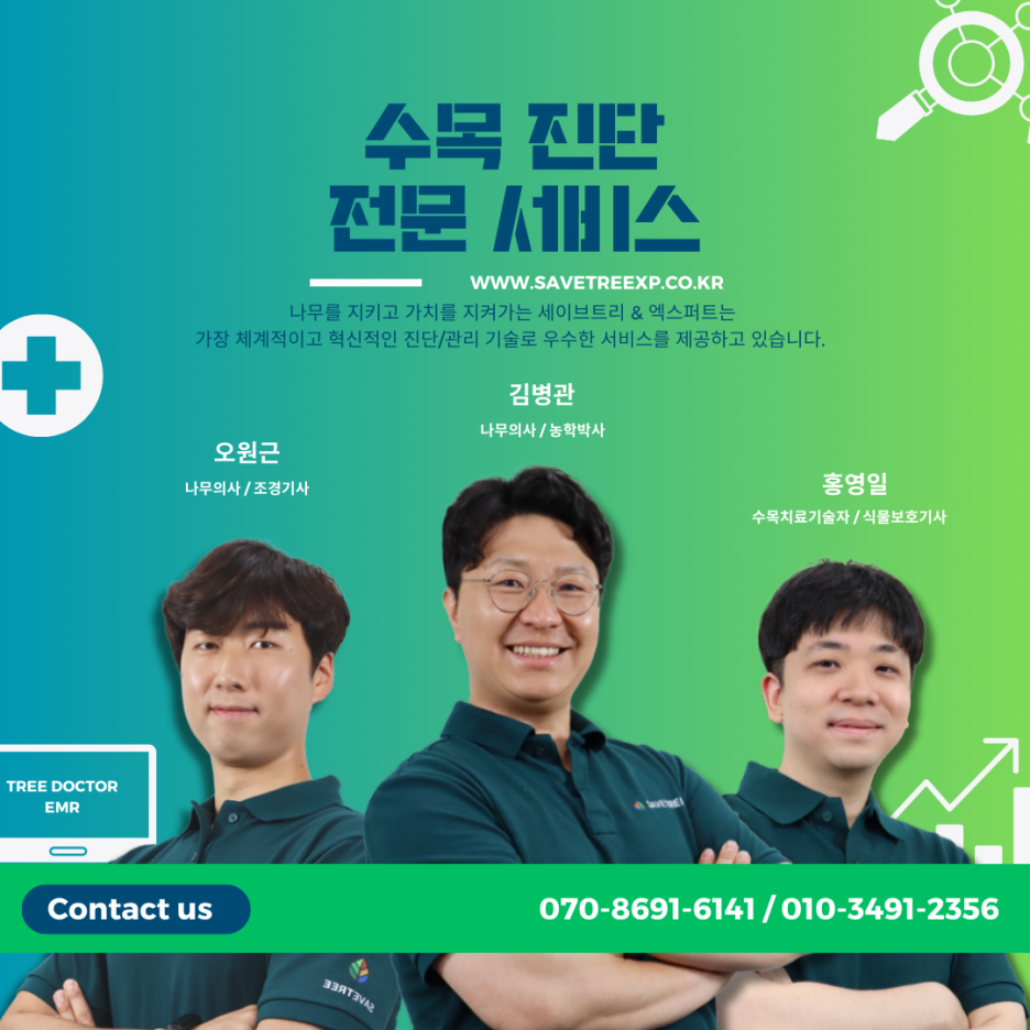 세이브트리엑스퍼트 이미지