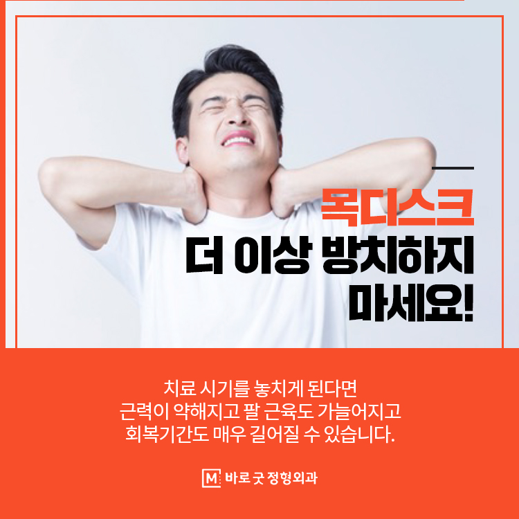 더디스크 이미지